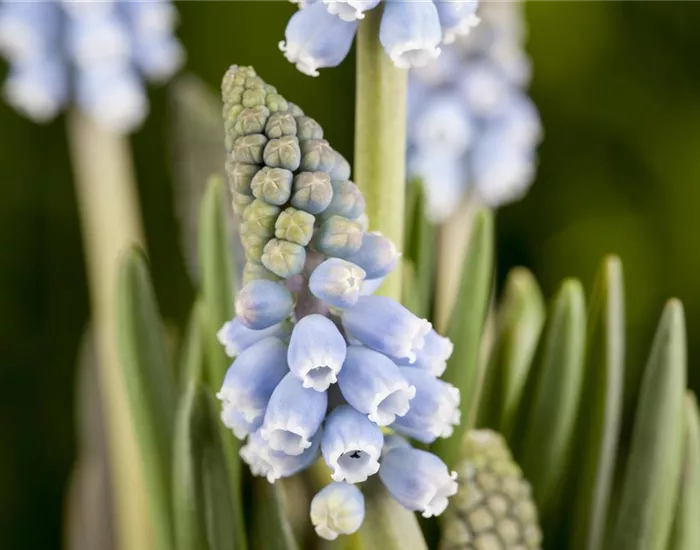 Fliegende Ostertassen Fliegende Ostertassen
